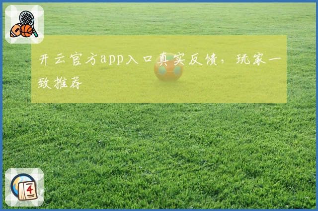 开云官方app入口真实反馈，玩家一致推荐