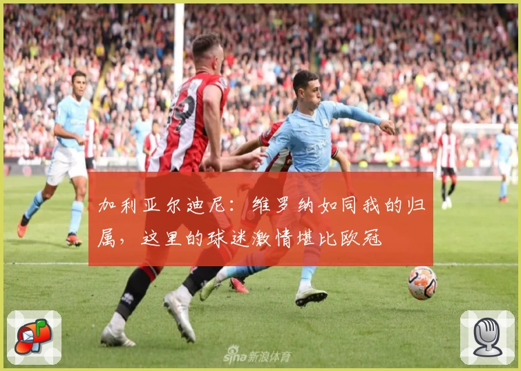 加利亚尔迪尼：维罗纳如同我的归属，这里的球迷激情堪比欧冠