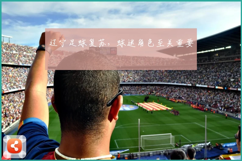 辽宁足球复苏，球迷角色至关重要