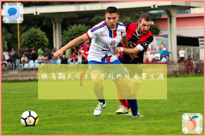 铁鸟翱天日本杯夺冠终结竞赛生涯