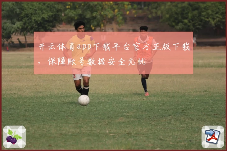开云体育app下载平台官方正版下载，保障账号数据安全无忧