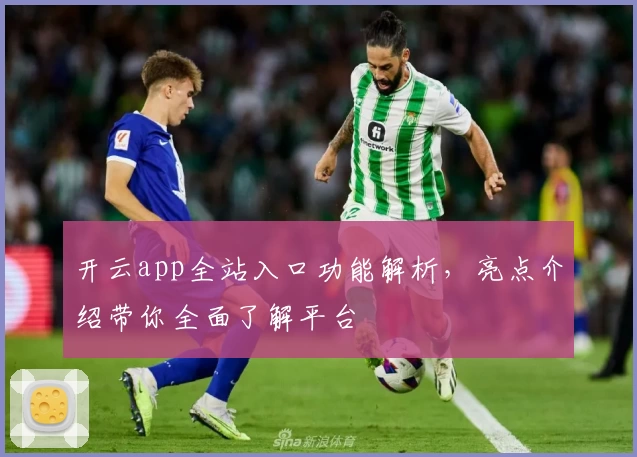 开云app全站入口功能解析,亮点介绍带你全面了解平台