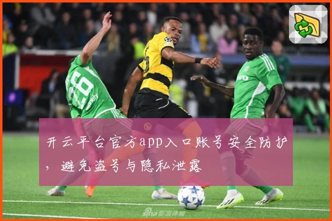 开云平台官方app入口账号安全防护，避免盗号与隐私泄露