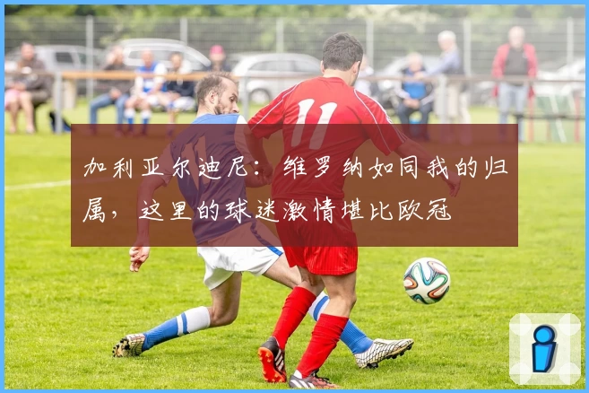 加利亚尔迪尼：维罗纳如同我的归属，这里的球迷激情堪比欧冠